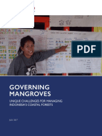 Governing Mangroves USAID Report