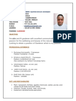 Thierry Gaston Security CV