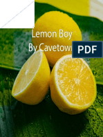 CD Inlay Booklet Lemon Boy