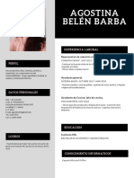 Pink and White Stripes Photo Modern Resume