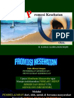 PROMOSI KESEHATAN