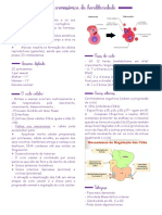 Base cromossômica da hereditariedade