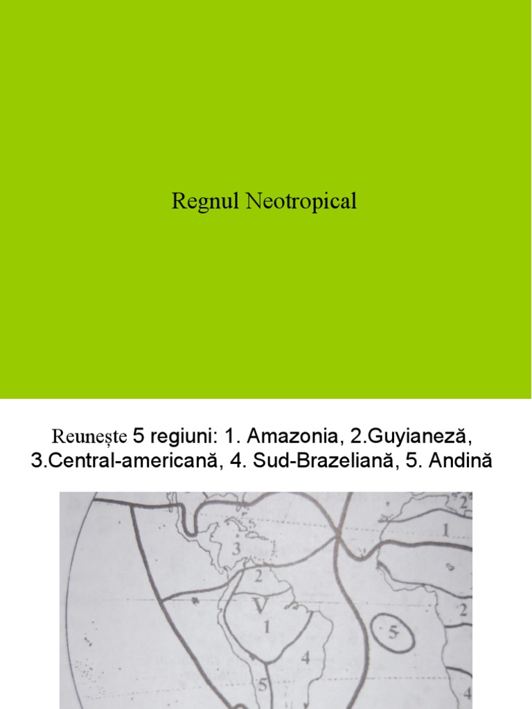 Regnul Neotropical | PDF