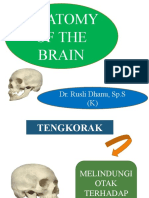 Anatomi Brain