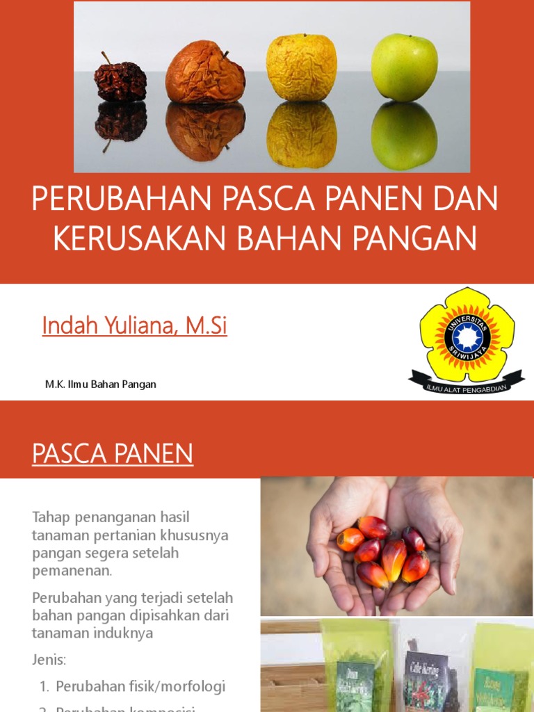 Perubahan Pasca Panen Dan Kerusakan Pangan-23 Agustus 2022 | PDF