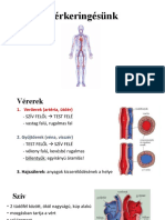 8.8 Vérkeringésünk 5. Diáig