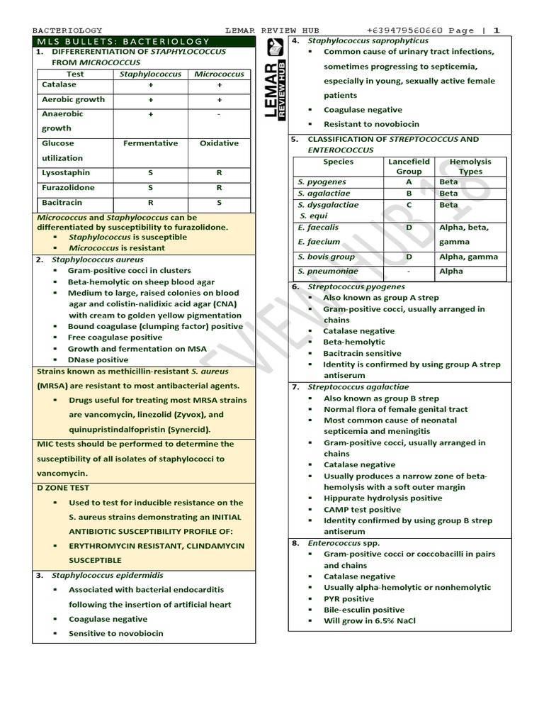 Bacteriology Notes PDF Beta Lactamase Staphylococcus