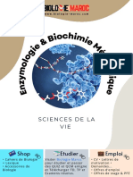 TD Enzymo Biochimie Met 1