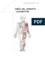 1 El Cuerpo Humano. Anatomía
