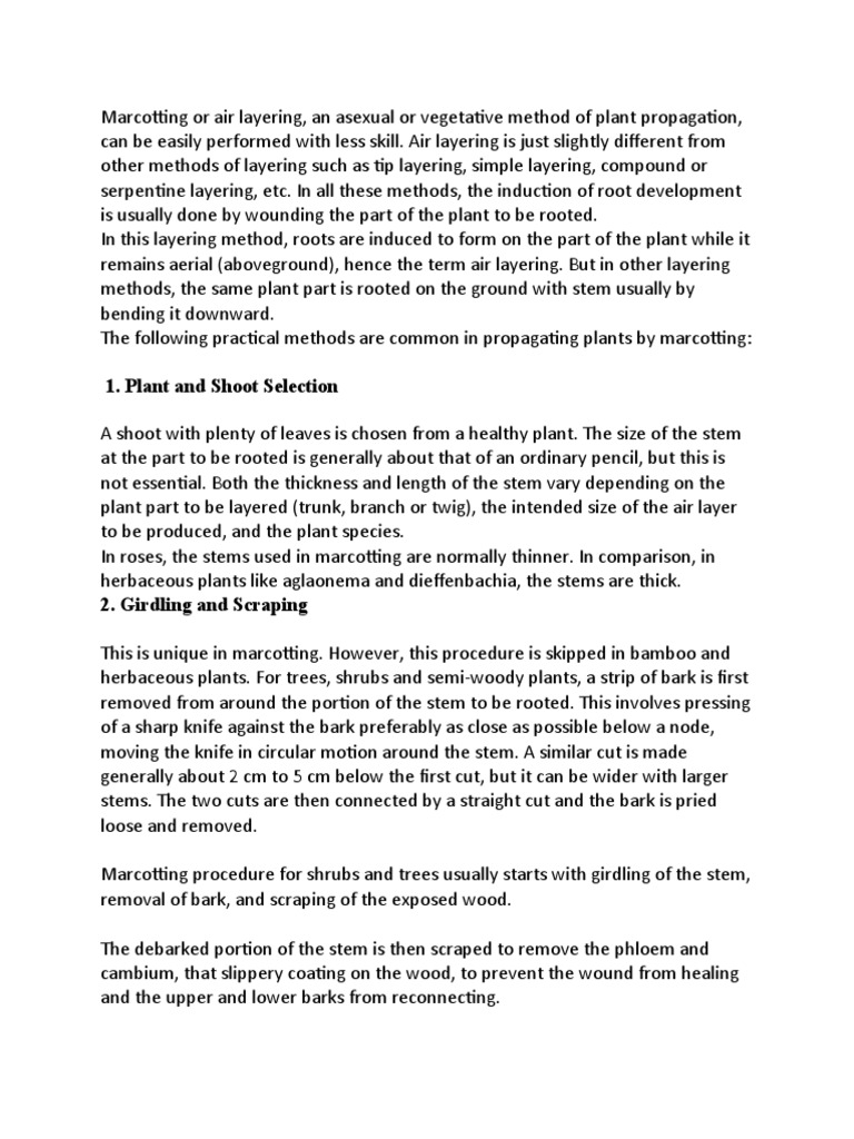 Learn Marcotting | PDF | Grafting | Trees