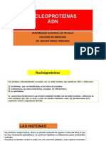 Nucleoproteinas Adn