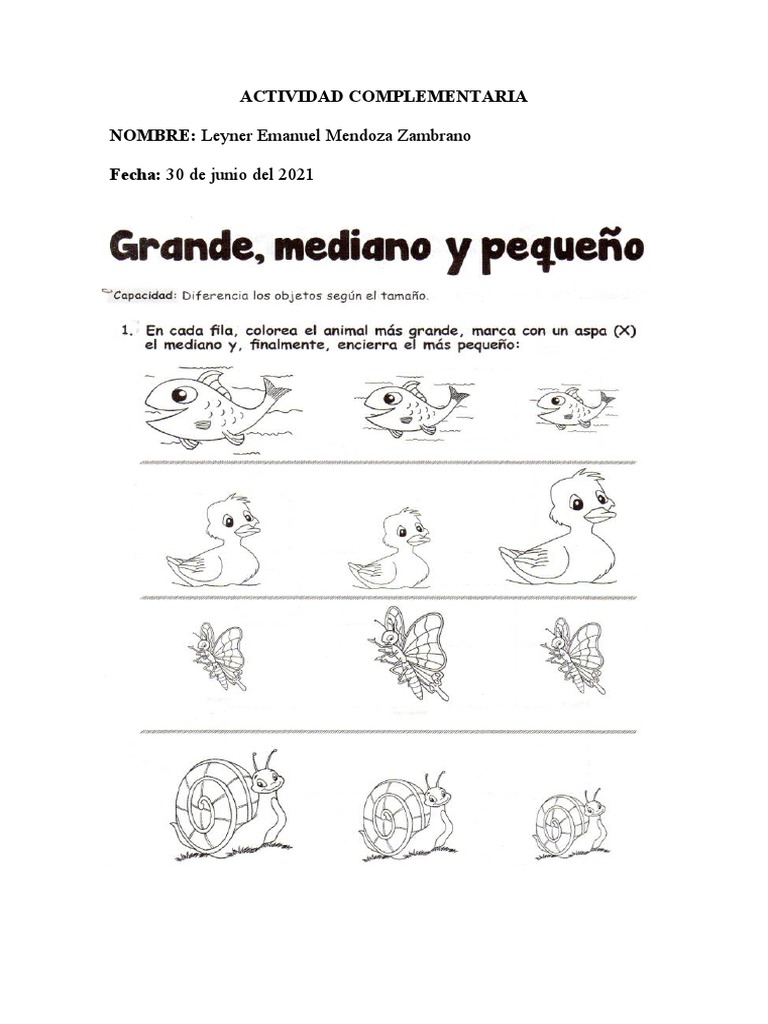 Actividad Grande Pequeño Mediani | PDF