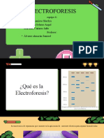 Eq 6electroforesis2023-1