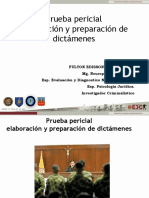 Prueba Pericial