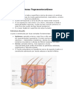 Sistema Tegumentocutâneo: Estrutura e Funções da Pele