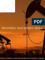 Secondary and Tertiary Sector