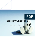 Biology Chapter 5: Mitosis and Meiosis