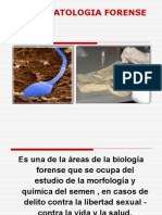 Espermatologia Forense