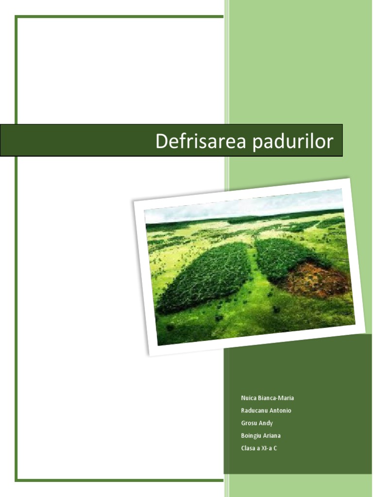 DEFRISAREA | PDF