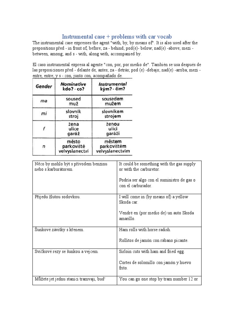 Instrumental Case in Czech PDF
