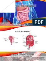 Sistema Digestório