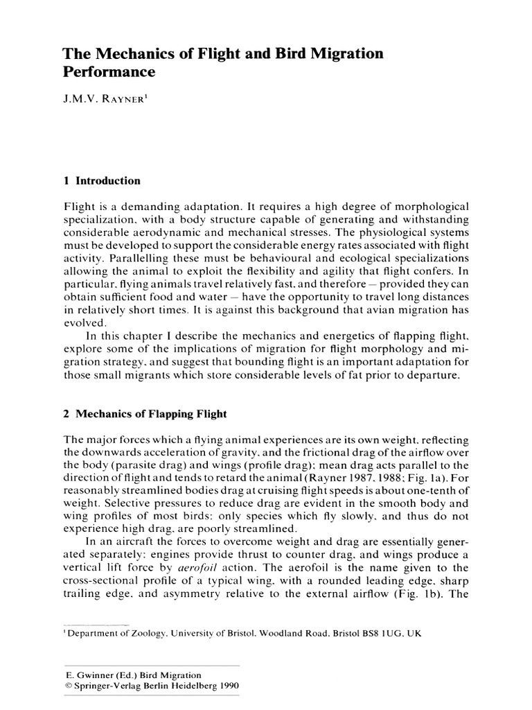 The Mechanics of Flight and Bird Migration Performance: Rayner! | PDF ...