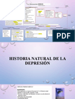 Historia natural de la depresión