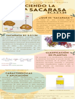 Infografía Conociendo La Enzima Sacarasa EC.3.2.1.26