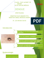Infecto, Dengue