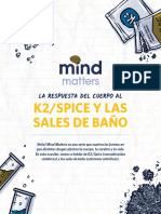 NIDA MindMatters 508 K2Spice ES 2022