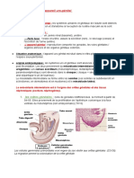 Embryologie