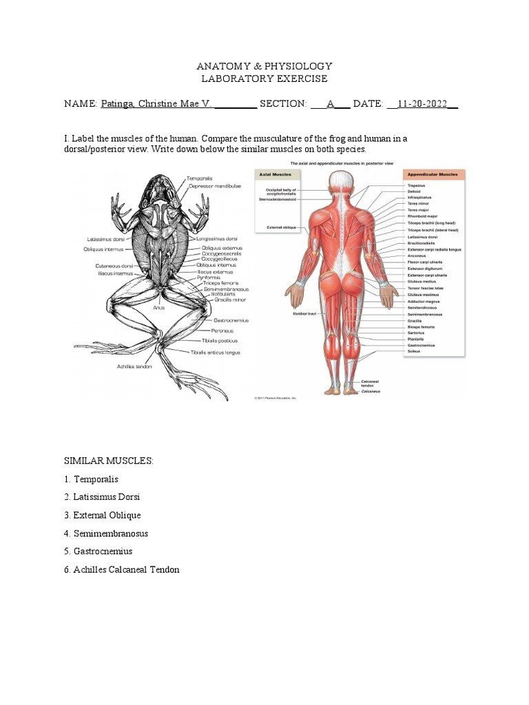 BSEDSCI 14 (Laboratory Exercise 1) Patinga, Christine Mae V. PDF