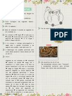 Parascaris equorum: Ciclo biológico do parasita intestinal de equinos