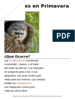 Animales en Primavera2