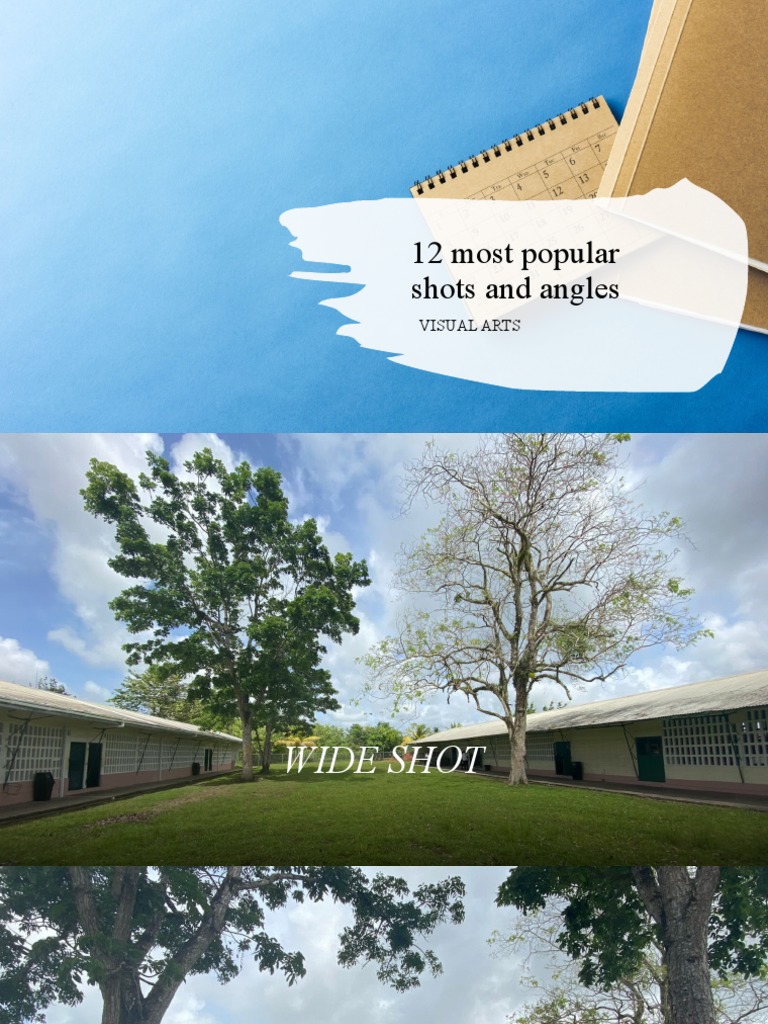 12 Most Popular Shots and Angles PDF