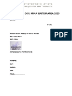 Prueba ODI Mina Subterránea SMMS 2020 Versión Corta