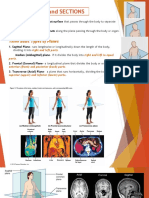 Nursing-AnaPhy-Body Planes and Cavity