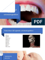 Fisiología Del Sistema Estomatognático