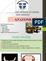 Anatomia Hueso Hioides