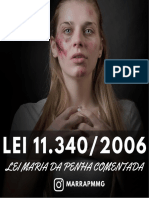 L11.340.2006 COMENTADA