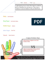 Fingers of Evolution Sheet - 2023