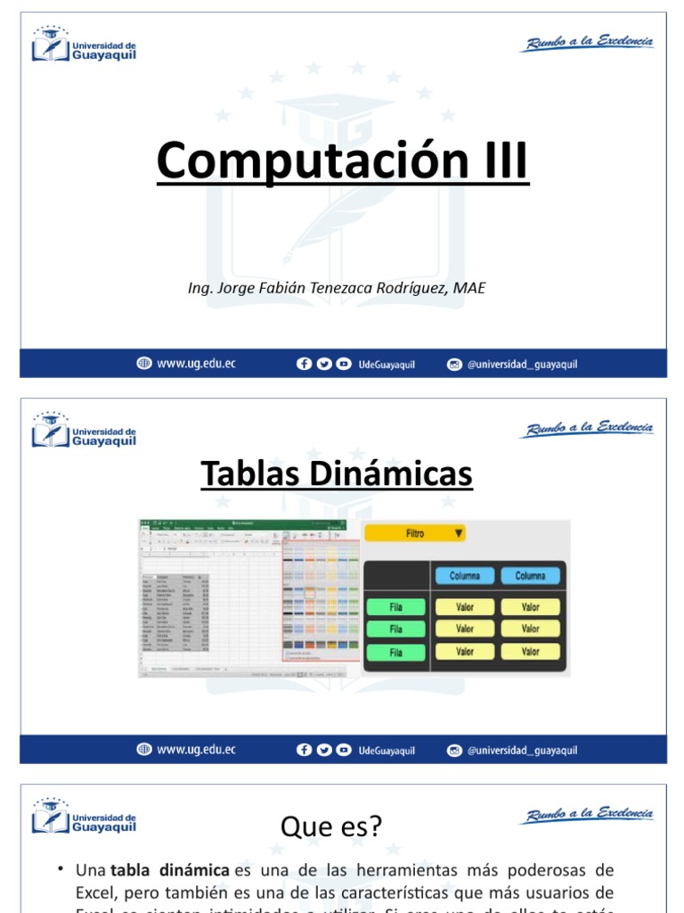 Clase 6. Tablas Dinamicas PDF Microsoft Excel Información
