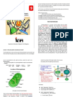 Photosynthesis and Cellular Respiration