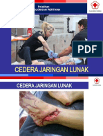 Cedera Jaringan Lunak - Ok