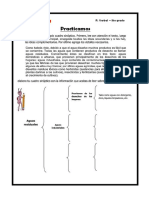 5to Grado - Cuadro Sinóptico