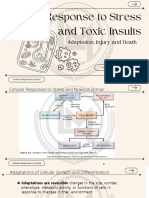 Histopathology General Concept Part 2