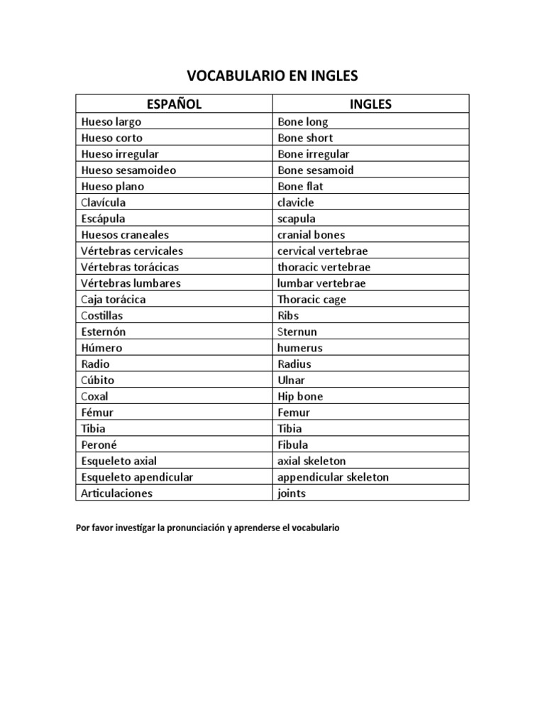 Key Bones and Joints Vocabulary in English and Spanish PDF