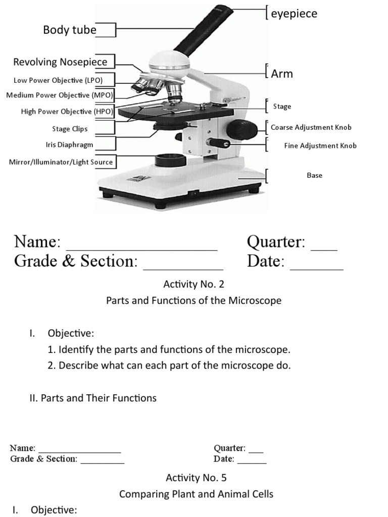 Act. 2 Parts & Funsctions of Microscope | Download Free PDF | Cell ...