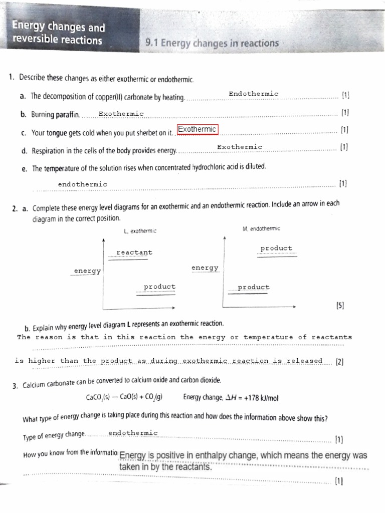 Worksheet on igcse chemical energetics pdf chemical reactions
