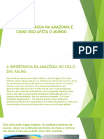 Ciclo Da Água Na Amazonia E Como Isso Afeta O Mundo